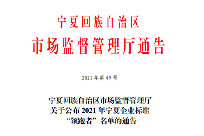 【荣誉】拉斯维加斯官方《GS系列桁架机器人》企业标准入选2021年宁夏企业标准“领跑者”名单